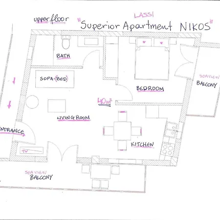 Niko Ласси