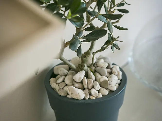 Niko Διαμέρισμα